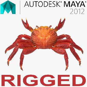 Red Rock Crab Rigged for Maya